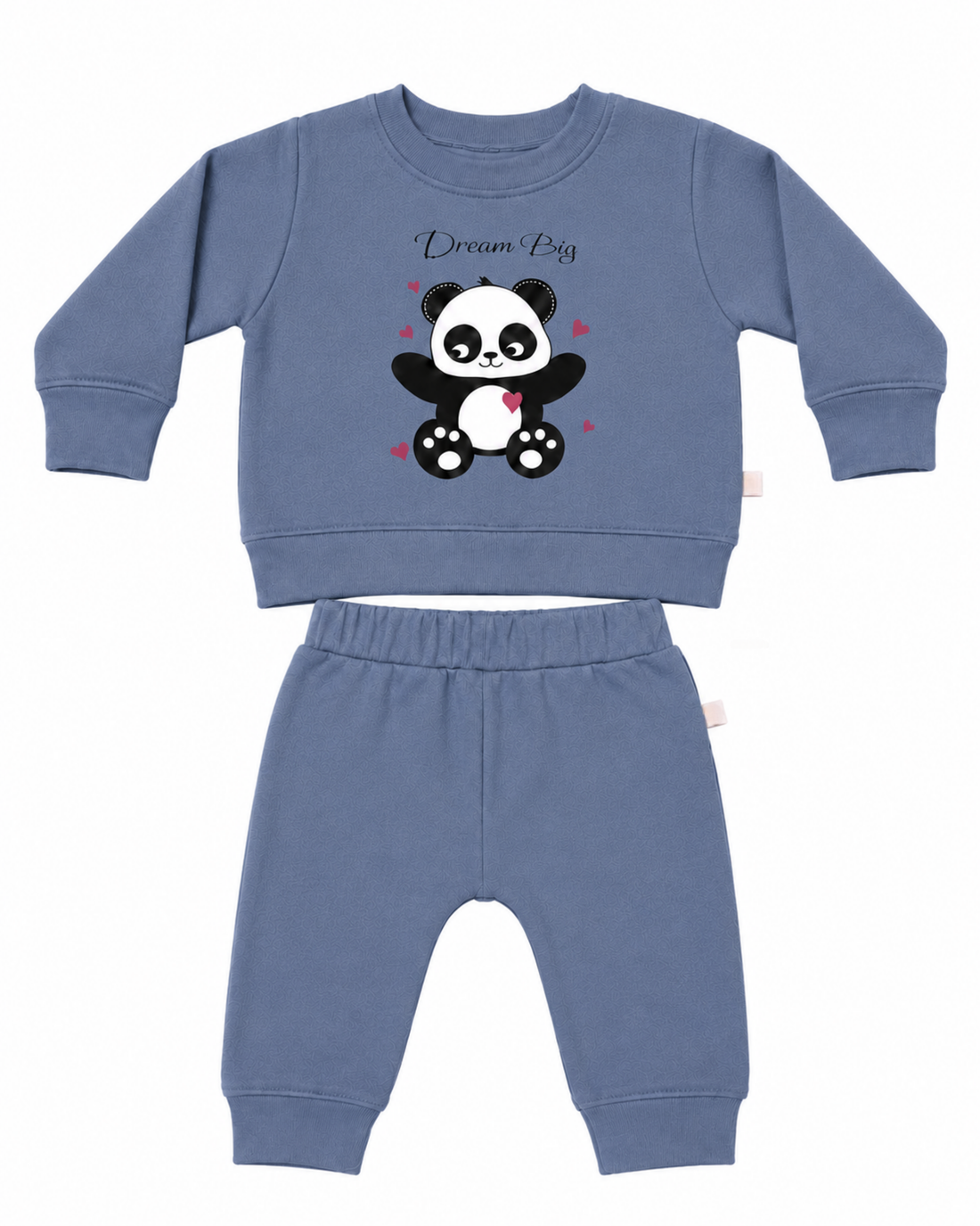 Blue Sweater Panda Print T-shirt And Pant