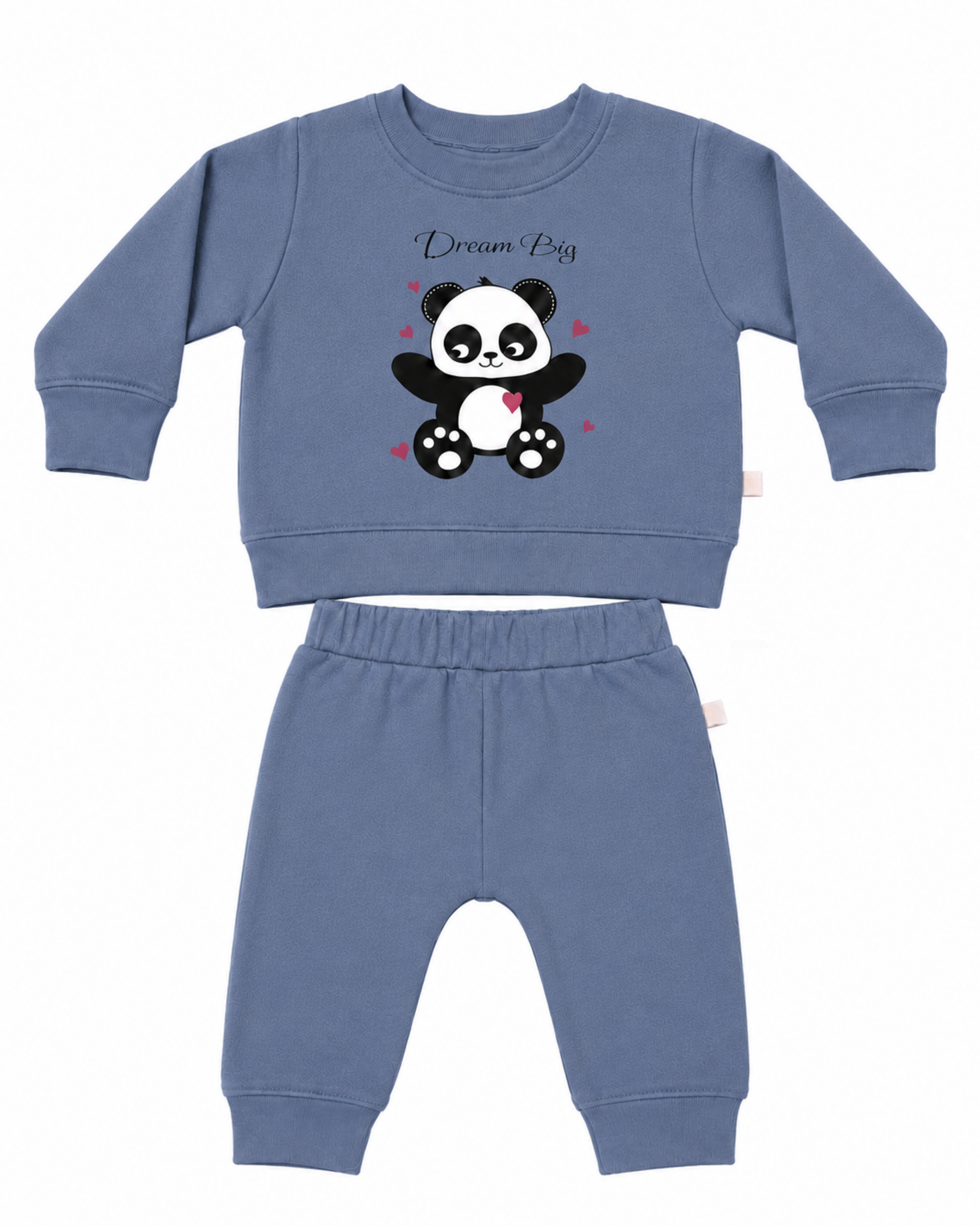 Blue Sweater Panda Print T-shirt And Pant