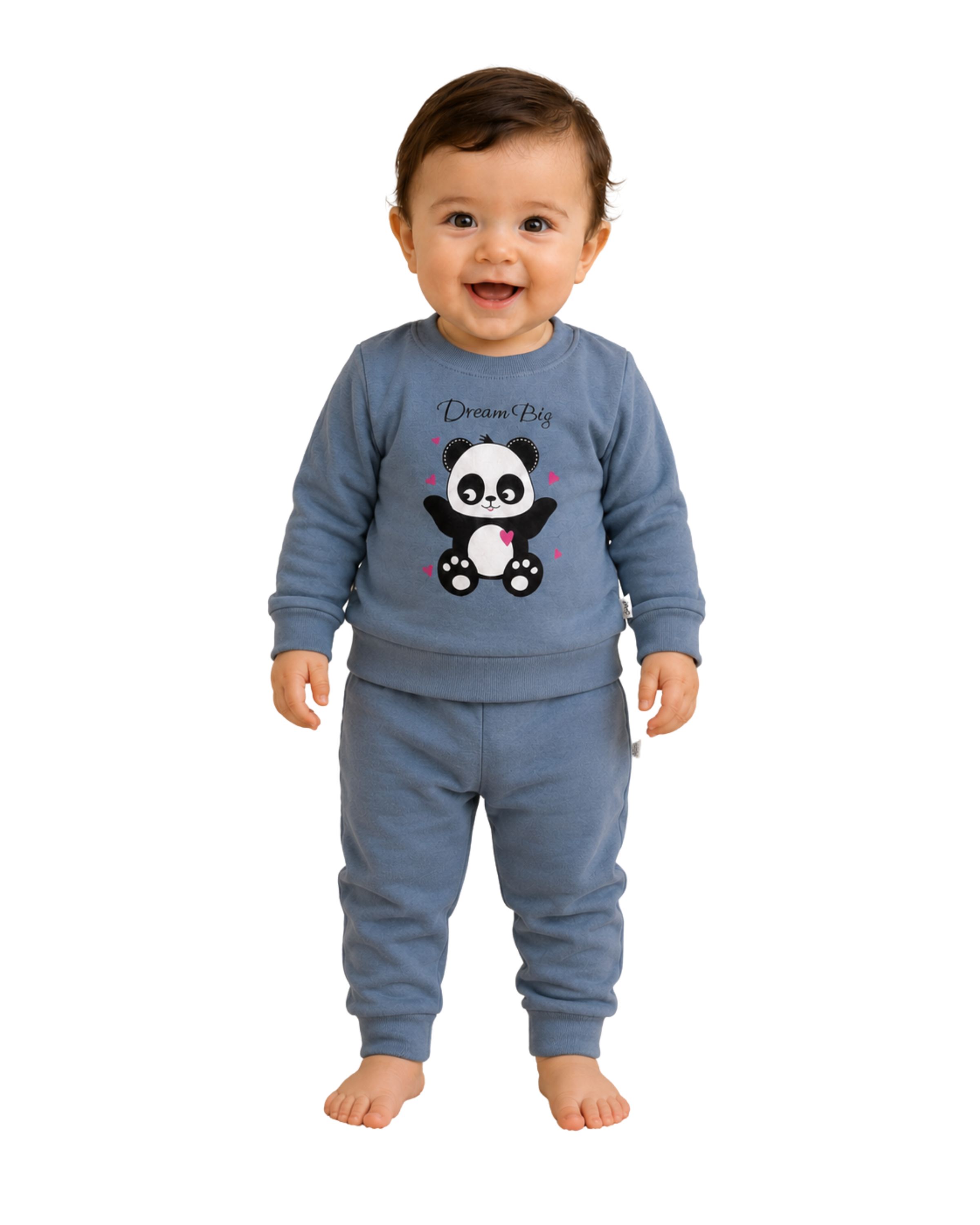 Blue Sweater Panda Print T-shirt And Pant