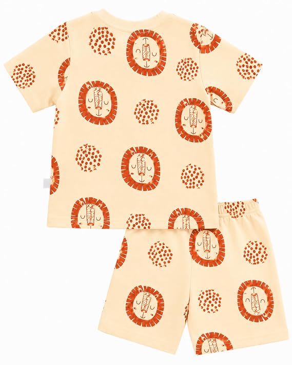 Baby Boys Printed T-Shirt & Shorts Set 4
